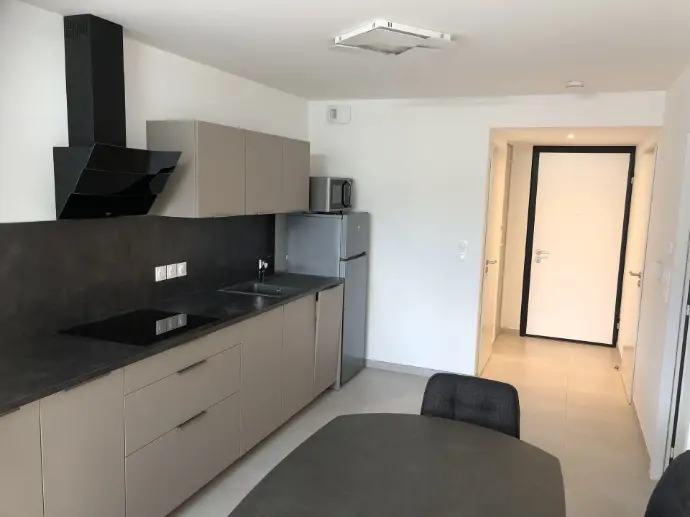 location F2 meublé Annecy